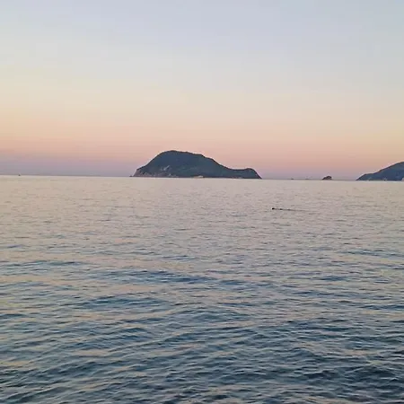 Σπίτι διακοπών Olive Λαγανάς