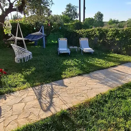 Olive Casa de Férias *