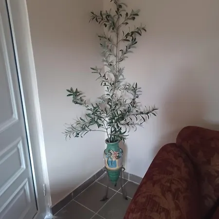 Olive Σπίτι διακοπών *